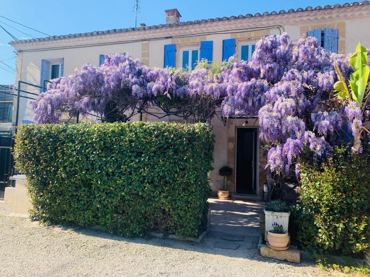 Le Mas Des Glycines Salon-de-Provence Eksteriør billede